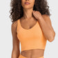 Deep V-Neck Crop Sports Bra