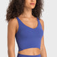 Deep V-Neck Crop Sports Bra