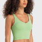 Deep V-Neck Crop Sports Bra