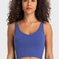 Deep V-Neck Crop Sports Bra