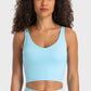 Deep V-Neck Crop Sports Bra